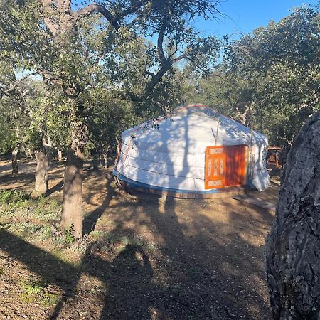 Sorède Au Soleil Mongol Bed & Breakfast エクステリア 写真