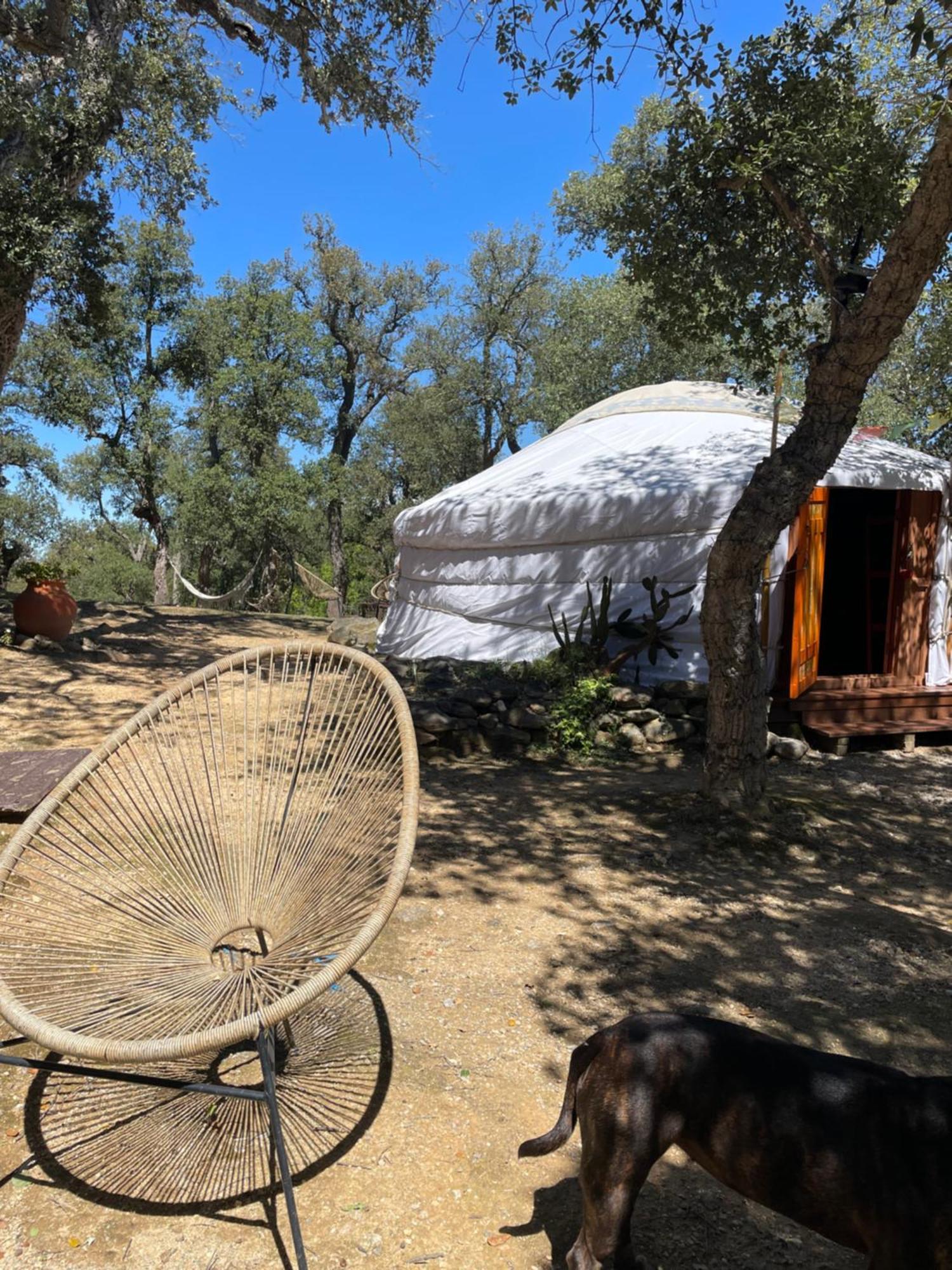 Sorède Au Soleil Mongol Bed & Breakfast エクステリア 写真