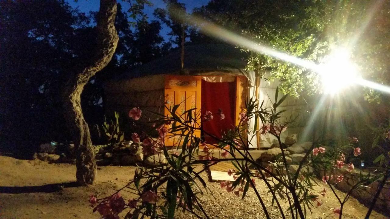 Sorède Au Soleil Mongol Bed & Breakfast エクステリア 写真