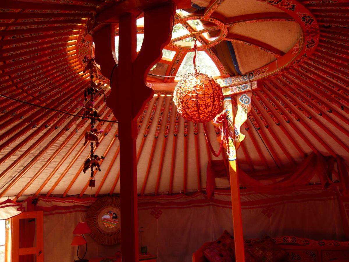 Sorède Au Soleil Mongol Bed & Breakfast エクステリア 写真